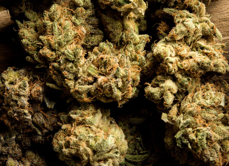 GREENS Unveils New High-Potency Flower Collection: Power, Flavor.