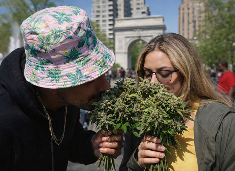 Cannabinoids and Terpenes: Understanding THC, CBD, CBN, CBG, and Key Aromas