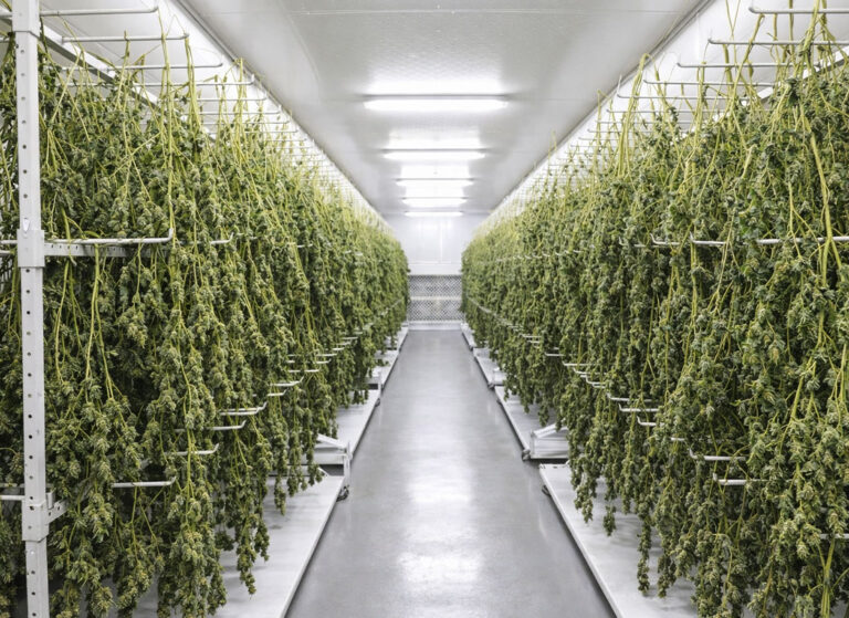 What Makes a Strain Smooth