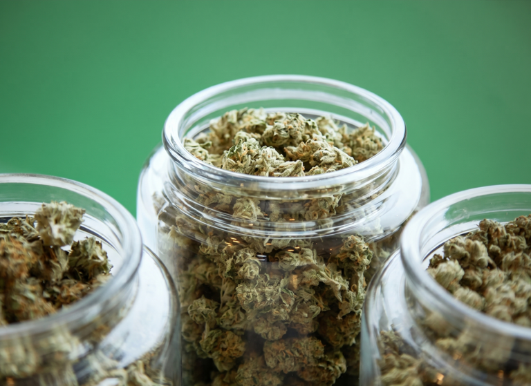 A Beginner’s Guide to Hybrid Cannabis