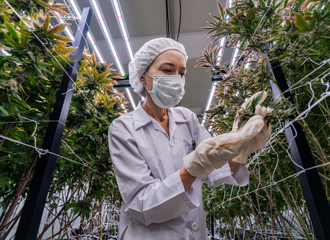 How-GREENS-Protects-Freshness-from-Harvest-to-Packaging