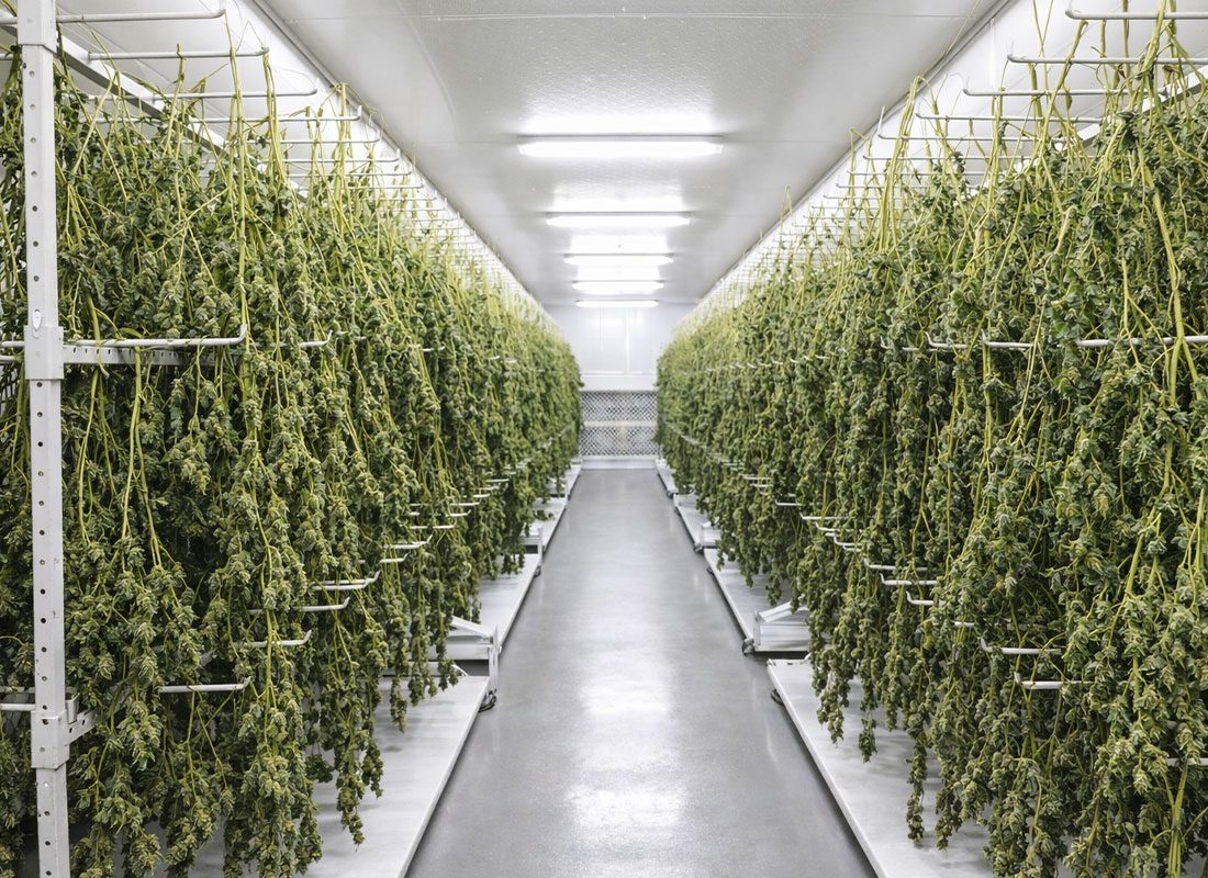 What-makes-a-strain-smooth